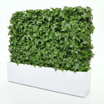 Carica immagine nella visualizzazione Galleria, Siepe Edera 80x25x56 cm Protezione Uv