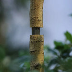 Carica immagine nella visualizzazione Galleria, bucida Buceras 180 cm