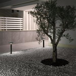 Carica immagine nella visualizzazione Galleria, Head Testa Palo