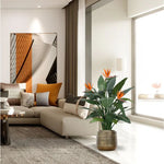 Carica immagine nella visualizzazione Galleria, Strelitzia Deluxe 115 cm