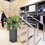 Carica immagine nella visualizzazione Galleria, Monstera Deluxe 75 cm