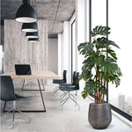 Carica immagine nella visualizzazione Galleria, albero Di monstera Deluxe 180 cm