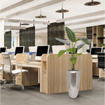 Carica immagine nella visualizzazione Galleria, Strelitzia Nicolai 120 cm