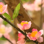 Carica immagine nella visualizzazione Galleria, Albero di Fiori gigante deluxe 275 cm