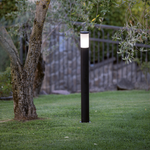 Carica immagine nella visualizzazione Galleria, Fidel Paletto