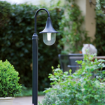 Carica immagine nella visualizzazione Galleria, Zoe Testa Palo