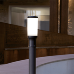 Carica immagine nella visualizzazione Galleria, Cactus Testa Palo