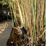 Carica immagine nella visualizzazione Galleria, Head Applique