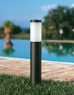 Carica immagine nella visualizzazione Galleria, Fidel Paletto