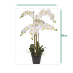 Carica immagine nella visualizzazione Galleria, Orchidea Phalaenopsis bianca 95 cm