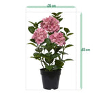 Carica immagine nella visualizzazione Galleria, Ortensia Rosa in vaso 65 cm