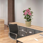 Carica immagine nella visualizzazione Galleria, Ortensia Rosa in vaso 65 cm