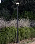 Carica immagine nella visualizzazione Galleria, Forma Testa Palo