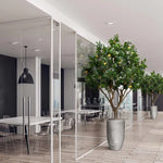 Carica immagine nella visualizzazione Galleria, Albero Di Limone 250 cm