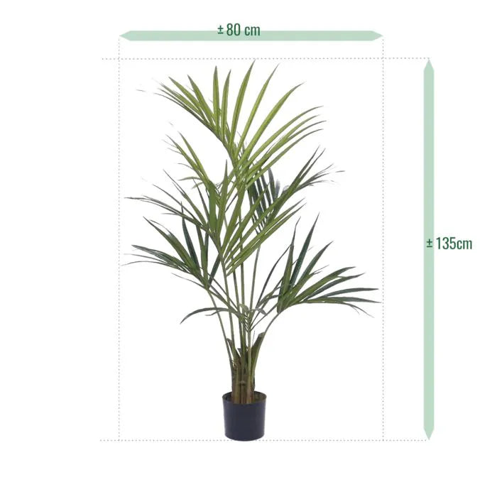 Kentia Deluxe 135 cm