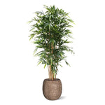 Carica immagine nella visualizzazione Galleria, Bambu Deluxe 180 cm