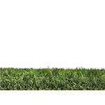 Carica immagine nella visualizzazione Galleria, Cipresso 40 mm multidirezionale