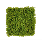 Carica immagine nella visualizzazione Galleria, PARETE VERDE PRADO 50x50 CM