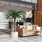 Carica immagine nella visualizzazione Galleria, Palma Phoenix Deluxe 225 cm