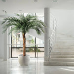 Carica immagine nella visualizzazione Galleria, Palma Phoenix Deluxe 225 cm
