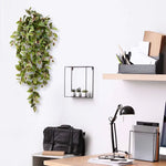 Carica immagine nella visualizzazione Galleria, Tradescantia 100 cm