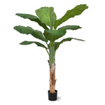 Carica immagine nella visualizzazione Galleria, Banana Royal 165 cm