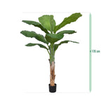 Carica immagine nella visualizzazione Galleria, Banana Royal 165 cm