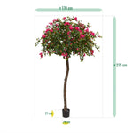 Carica immagine nella visualizzazione Galleria, Albero Bougainville XL 275 cm