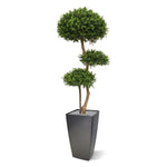 Carica immagine nella visualizzazione Galleria, Palla di bosso deluxe x3 140cm Protezione UV