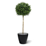 Carica immagine nella visualizzazione Galleria, Palla di Bosso con Tronco 140 cm