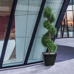 Carica immagine nella visualizzazione Galleria, Spirale Bosso Deluxe 170 cm PROTEZIONE UV