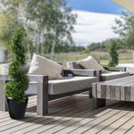 Carica immagine nella visualizzazione Galleria, Spirale Bosso Deluxe 100 cm PROTEZIONE UV