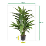 Carica immagine nella visualizzazione Galleria, Dracaena Verde 80 cm