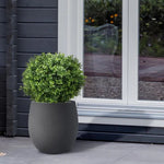 Carica immagine nella visualizzazione Galleria, Palla di Bosso Deluxe 50 cm