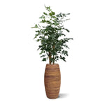 Carica immagine nella visualizzazione Galleria, Palma Artificiale a Coda Di pesce Xl Deluxe 190 cm