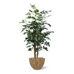 Carica immagine nella visualizzazione Galleria, Palma Artificiale a Coda Di pesce Xl Deluxe 190 cm