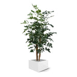 Carica immagine nella visualizzazione Galleria, Palma Artificiale a Coda Di pesce Xl Deluxe 190 cm