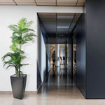 Carica immagine nella visualizzazione Galleria, Palma Golden Kane Areca 180 cm