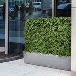 Carica immagine nella visualizzazione Galleria, Siepe Edera 80x25x56 cm Protezione Uv