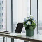 Carica immagine nella visualizzazione Galleria, Ortensia Deluxe blu 45 cm