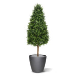 Carica immagine nella visualizzazione Galleria, Torre di bosso 140 cm PROTEZIONE UV