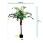 Carica immagine nella visualizzazione Galleria, Palma Majesty gigante 350 cm