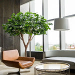 Carica immagine nella visualizzazione Galleria, Albero Acero Deluxe 240 cm