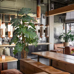 Carica immagine nella visualizzazione Galleria, albero Di monstera Deluxe 180 cm