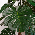 Carica immagine nella visualizzazione Galleria, albero Di monstera Deluxe 180 cm