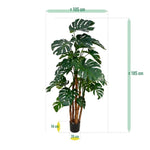 Carica immagine nella visualizzazione Galleria, albero Di monstera Deluxe 180 cm