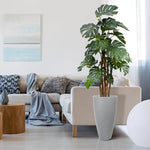Carica immagine nella visualizzazione Galleria, albero Di monstera Deluxe 180 cm