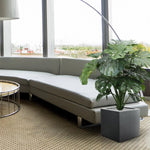 Carica immagine nella visualizzazione Galleria, Monstera Gigante 100 cm