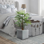 Carica immagine nella visualizzazione Galleria, Palma Raphis 75 cm