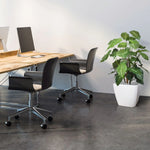 Carica immagine nella visualizzazione Galleria, Syngonium Deluxe 85 cm